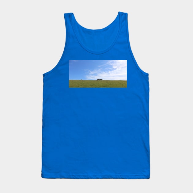 Blauer Himmel über Schaf auf grünem Deich Pellworm Tank Top by Christine aka stine1